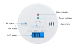 Carbon Monoxide Detector Alarm