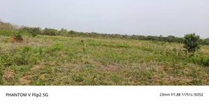 200 Acres at Omenako Suhum Road for Ghc25.000 Per Acre