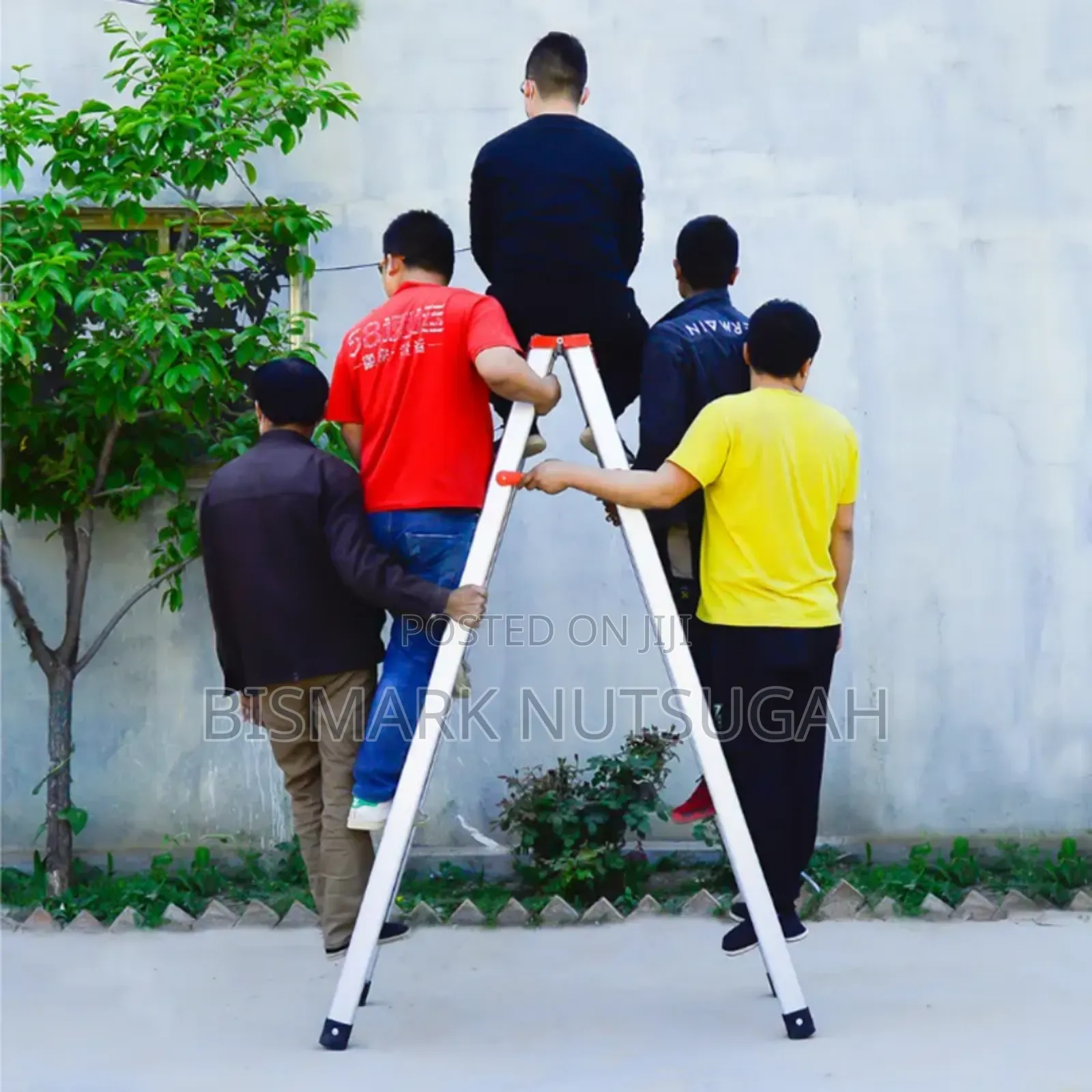 Aluminum Ladder for Sale