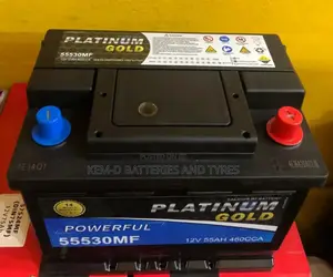 13 Plates Platinum Gold Battery _ Free Delivery