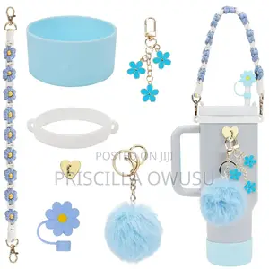 Stanley Cup Accessories