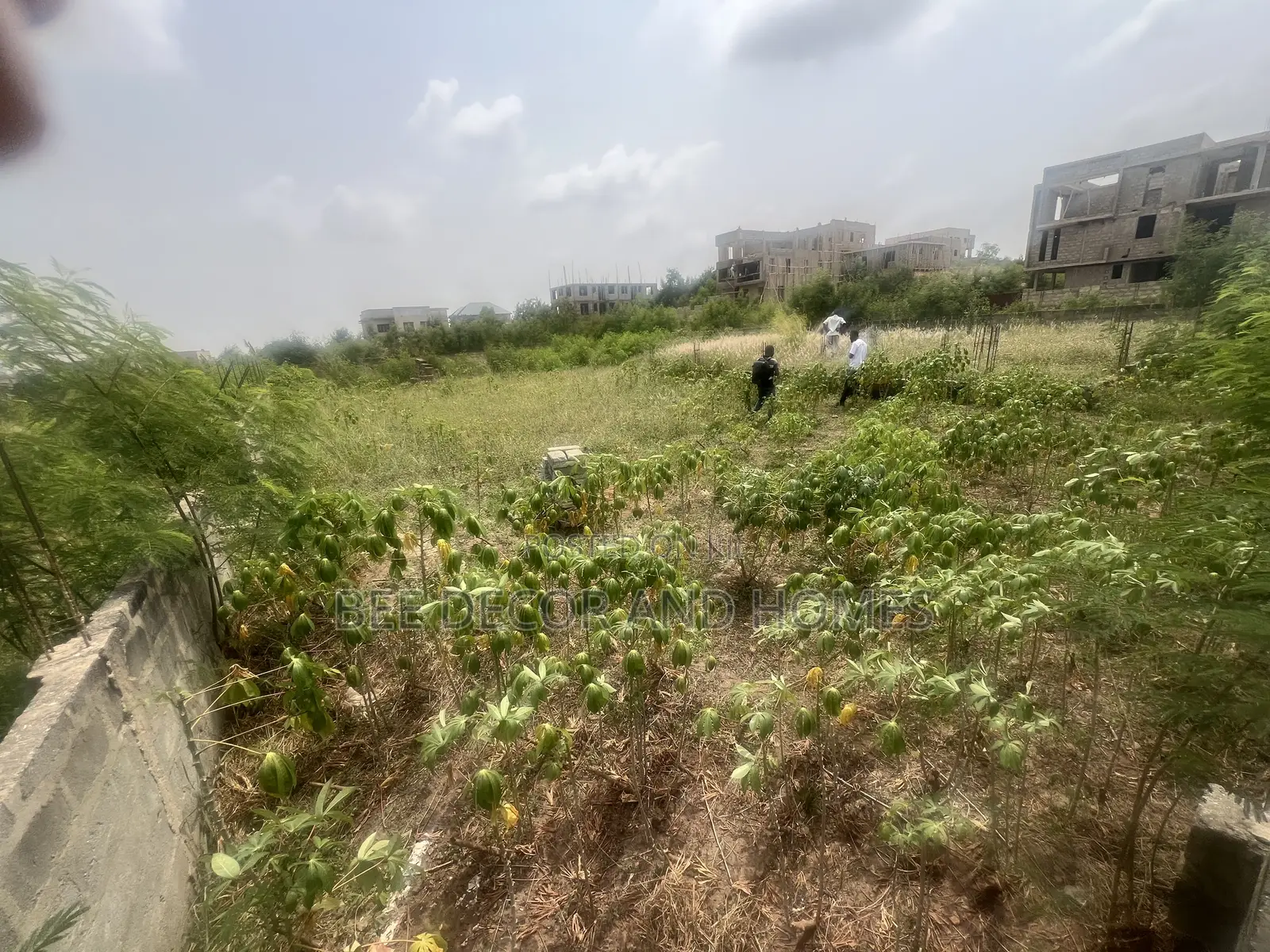 2 Plot of Walled Land for Sale