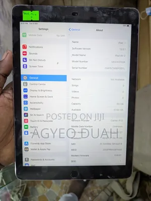 Apple iPad Air 2 64 GB Gray