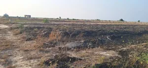 Free Modern Documentation on Plots at Afienya - Shai Hills