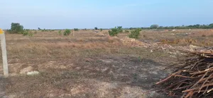 Free Modern Documentation on Plots at Afienya - Shai Hills