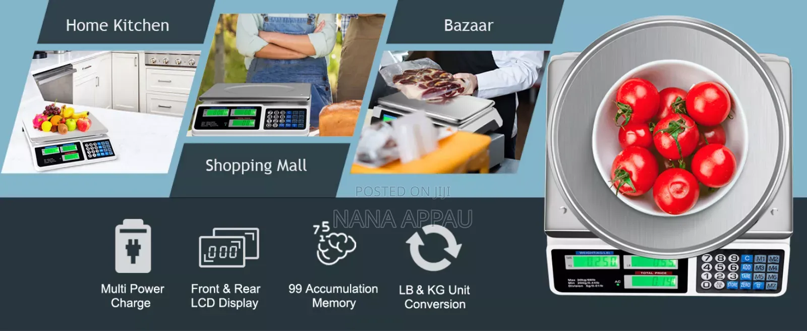 Scale (Price Computing Scale)