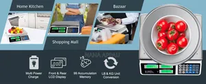 Scale (Price Computing Scale)