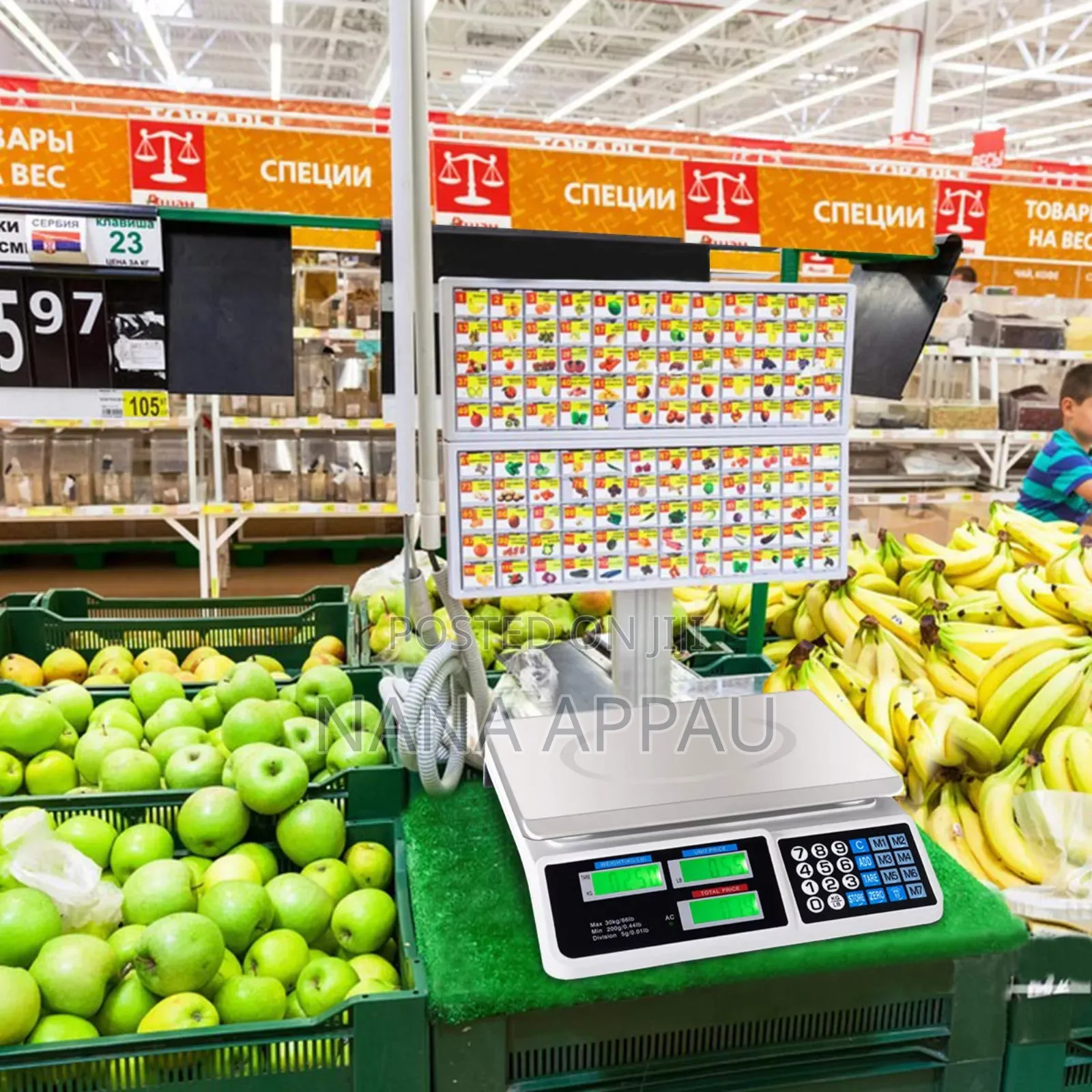 Scale (Price Computing Scale)
