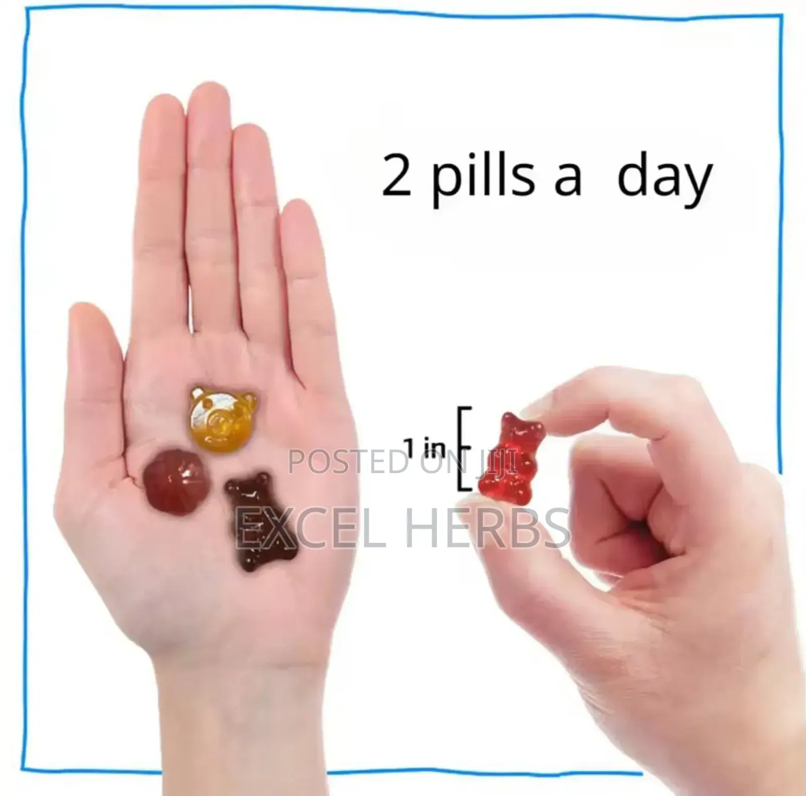 BBL _ Gummies