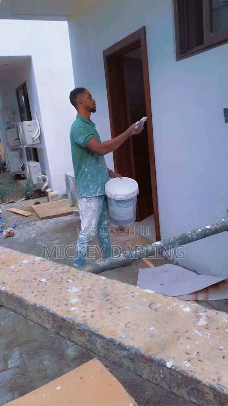 Professional Painter and Wallpaper Expert