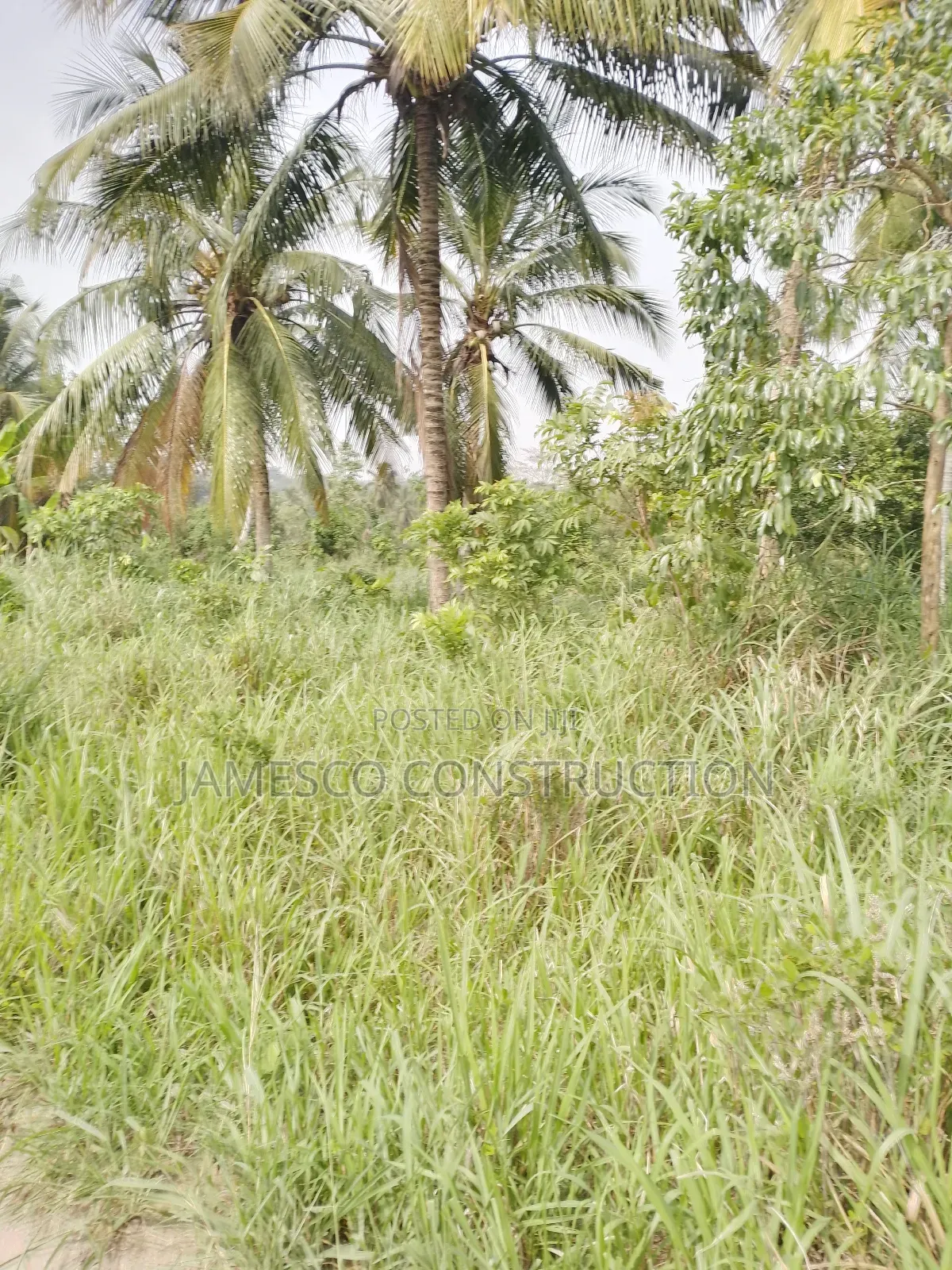 Registered 10,000 Of Farmland For Sale
