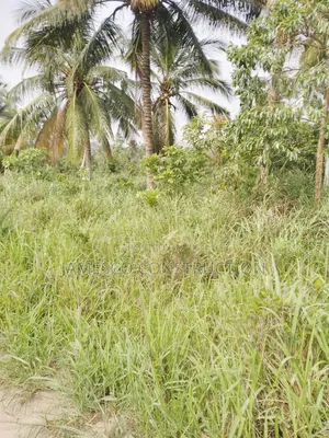 Registered 10,000 Of Farmland For Sale