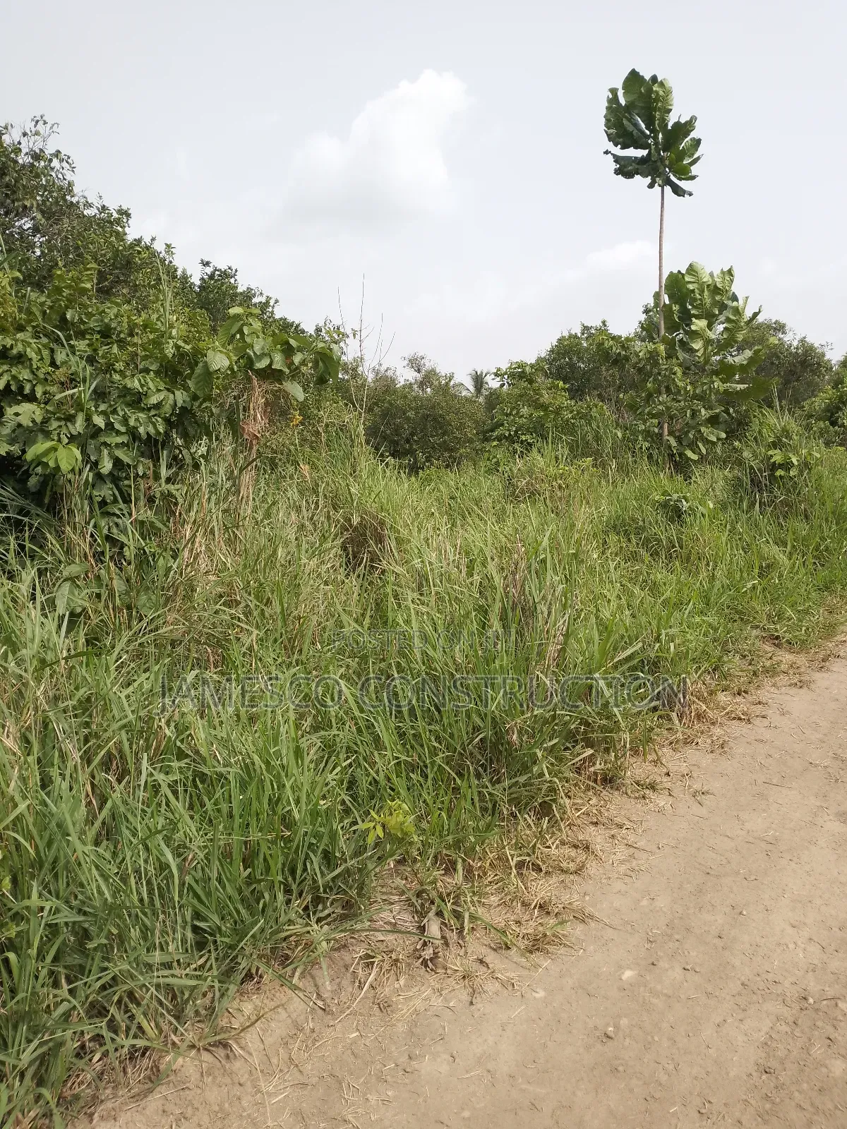 Registered 10,000 Of Farmland For Sale