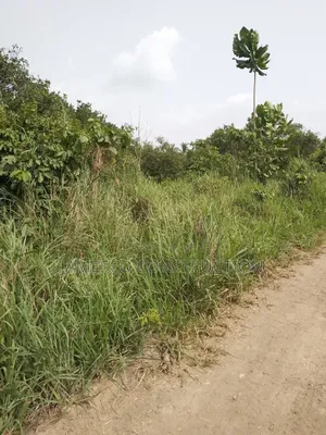 Registered 10,000 Of Farmland For Sale