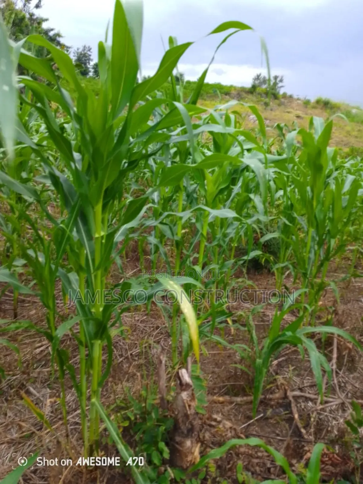 Registered 14,000 Acres of Farmland for Sale
