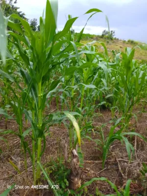 Registered 14,000 Acres of Farmland for Sale