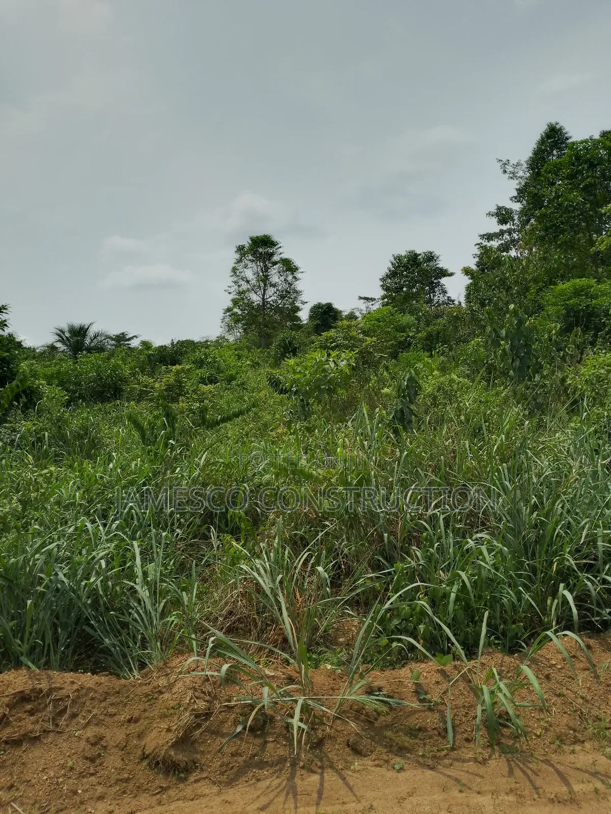 Registered 14,000 Acres of Farmland for Sale