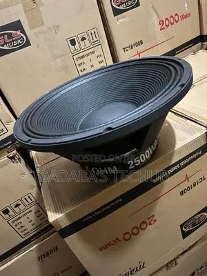2500 Naked Speaker (Tc18100b)