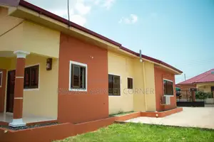 Professional Painter