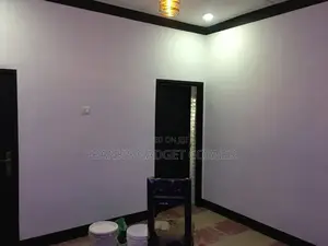 Professional Painter