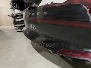 Hyundai Sonata 2023 -2024 Complete Boot