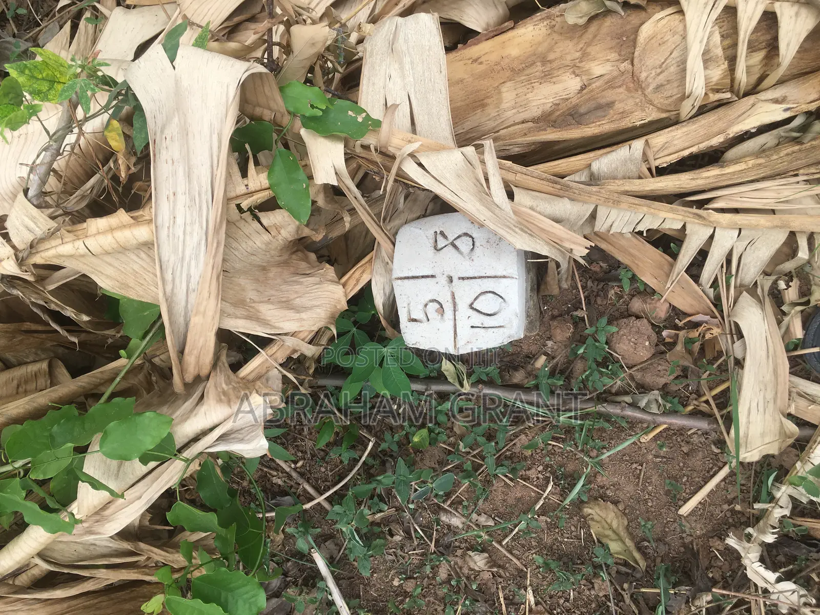 Plot Land for Sale at Ejisu Edwinese