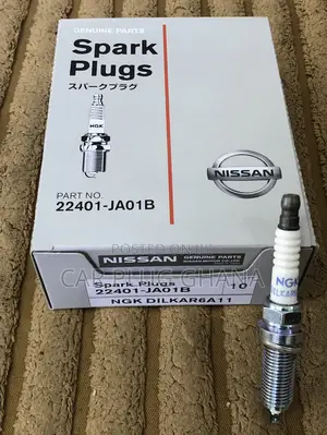 Nissan Double Iridium 14 Long Spark Plugs