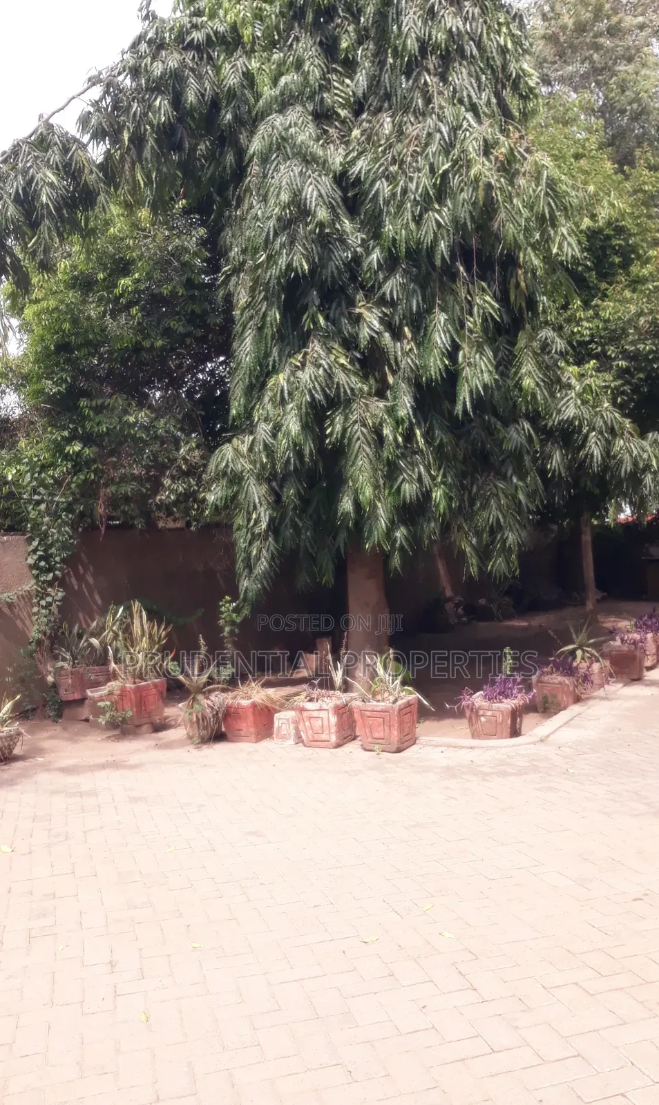 4bdrm House in Tesano for sale