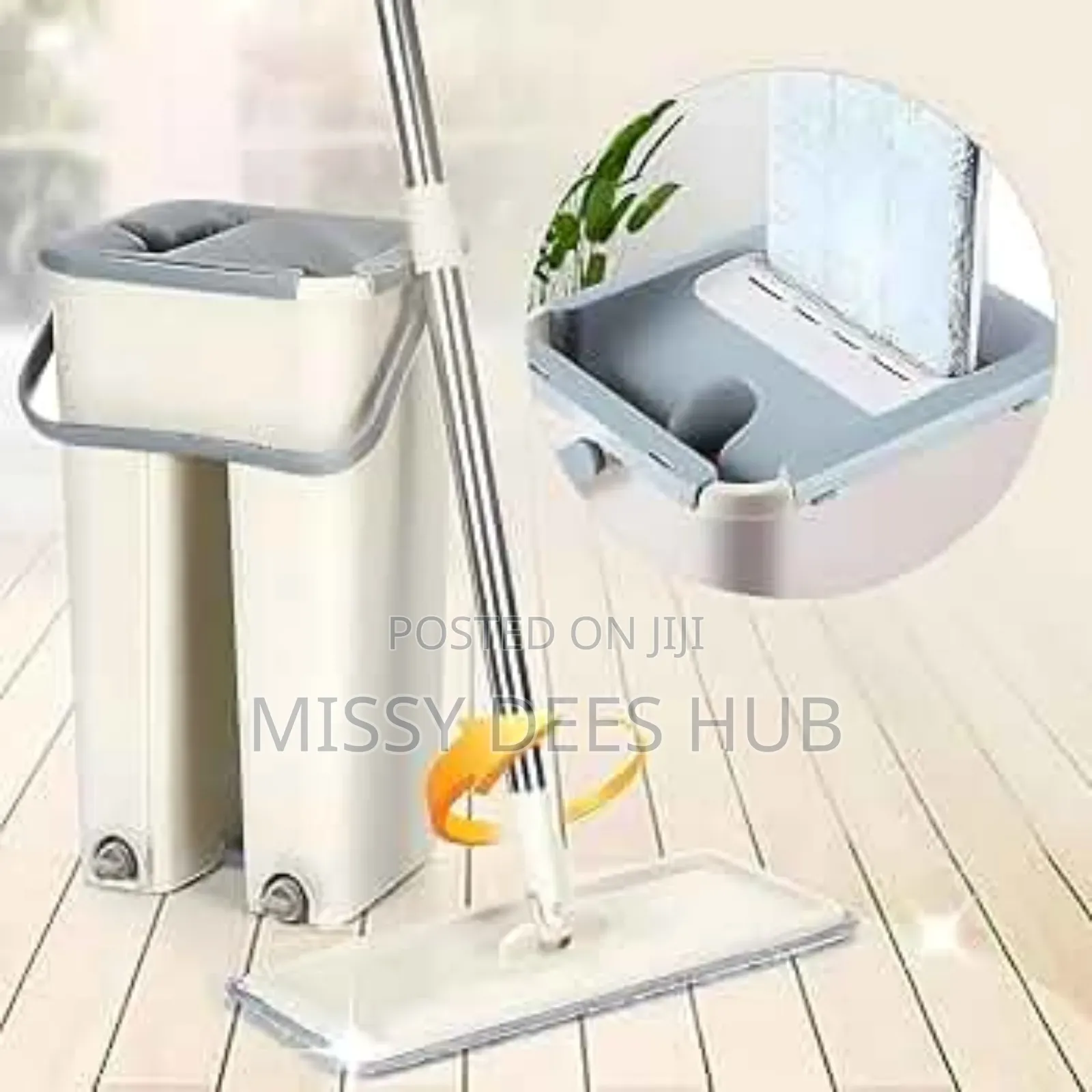 Mop and Bucket