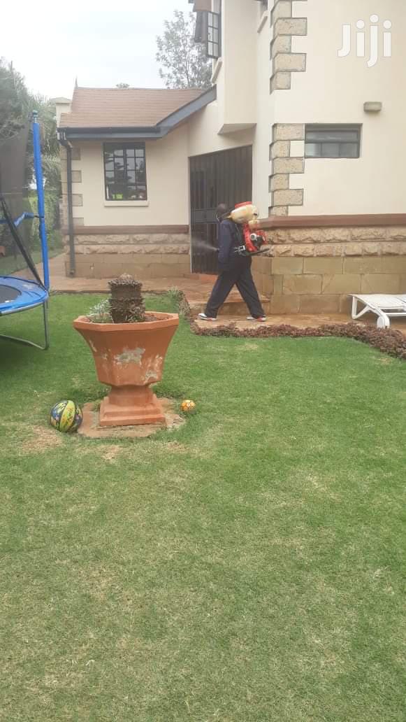 Pest Control
