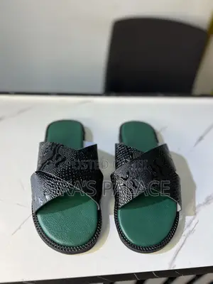 Crocodile Black and Green Slippers