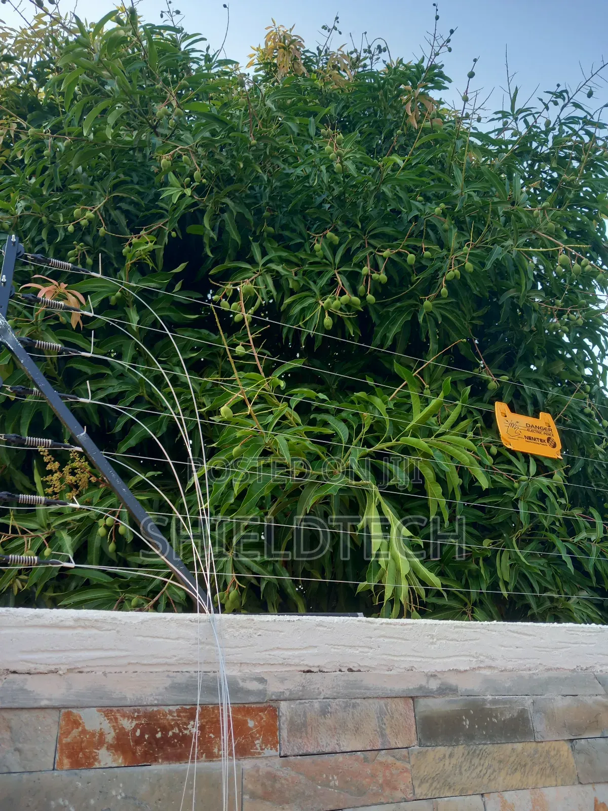 Electric Security Fence Installation