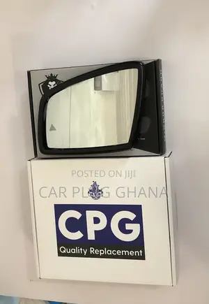 Mercedes-Benz C/E/S Class Mirror Guard and Side Mirror