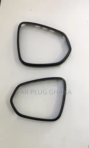 Mirror Guard for Lexus Rx, Nx