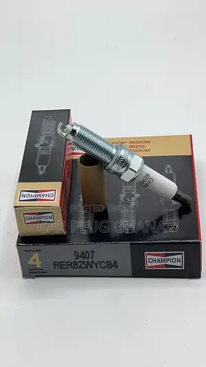Champion 9407 14/16 Long
