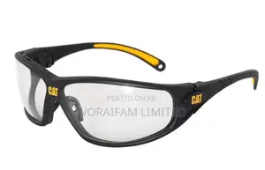 Cat Safety Goggles