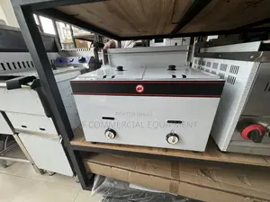 Double Fryer Gas Tabletop 16l