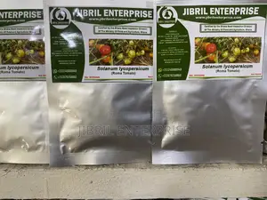 Roma Tomato, Burkina Tomato, Non Hybrid Seeds for Planting