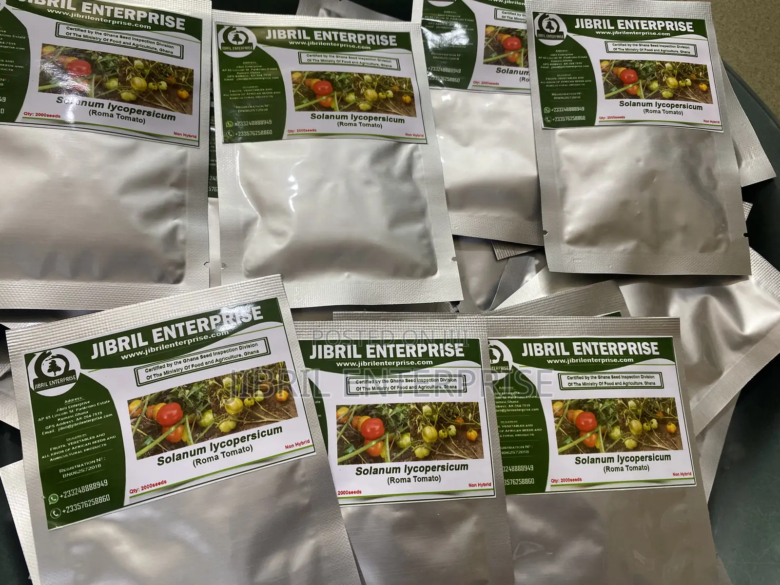 Roma Tomato, Burkina Tomato, Non Hybrid Seeds for Planting