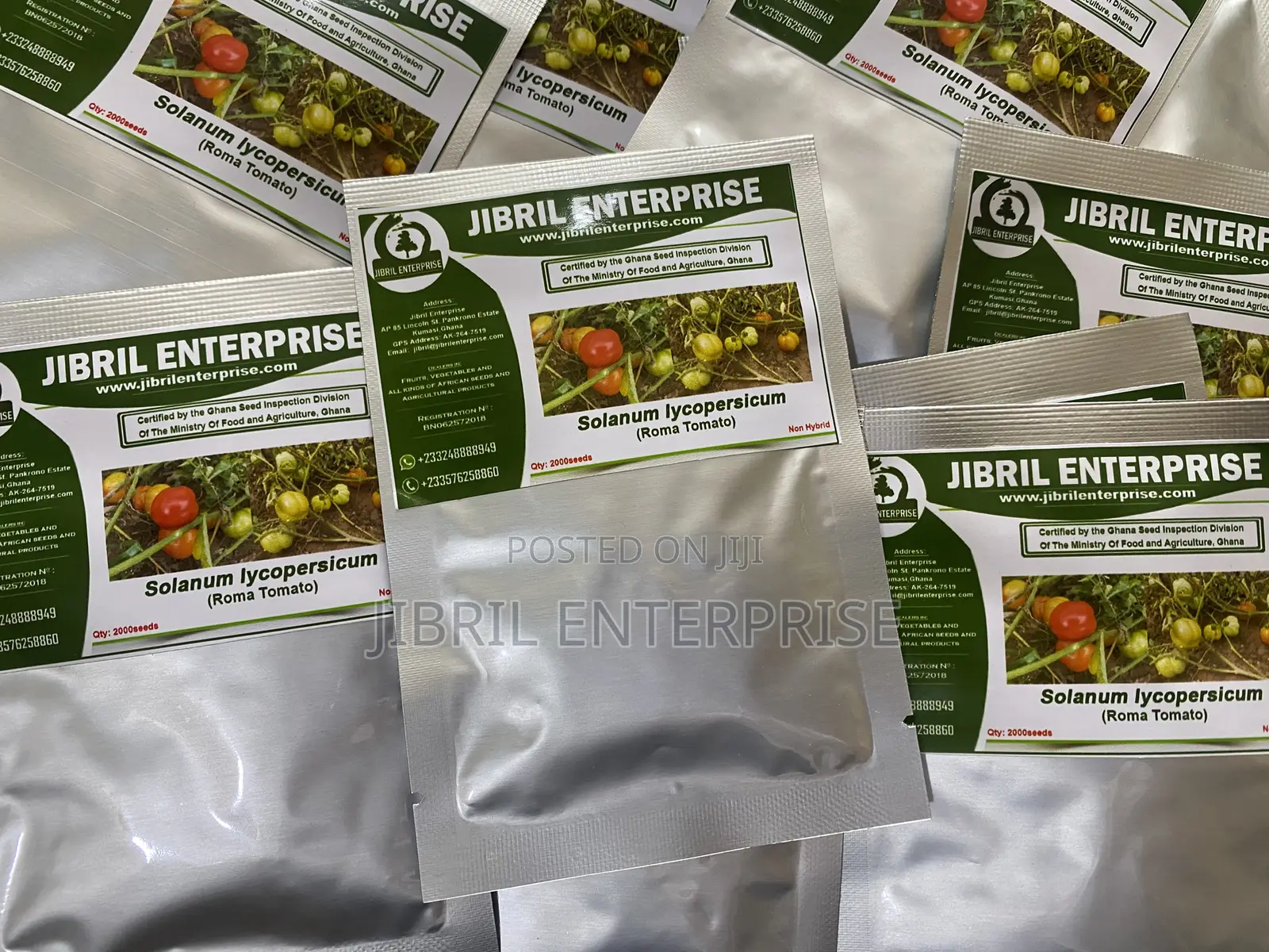 Roma Tomato, Burkina Tomato, Non Hybrid Seeds for Planting