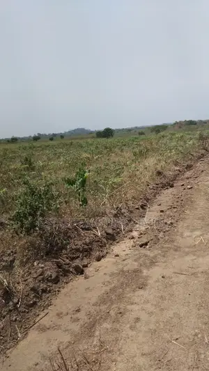 Serviced Prime Lands for Sale at Panfokrom