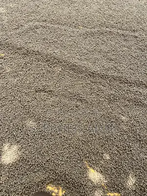 Fish Feed Available in Different Sizes