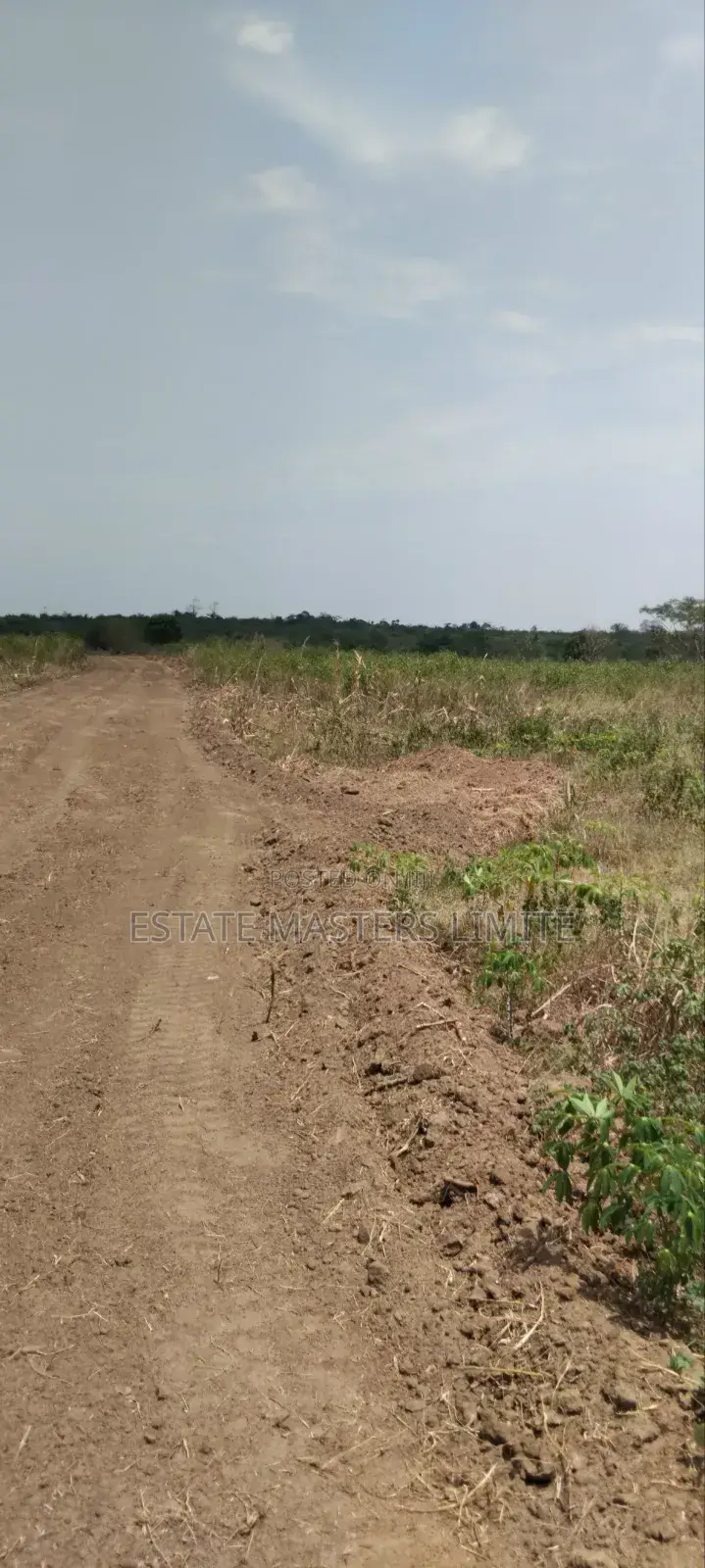 Flat Land Available at Panfokrom for Sale