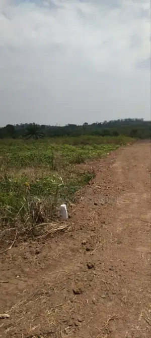 Flat Land Available at Panfokrom for Sale