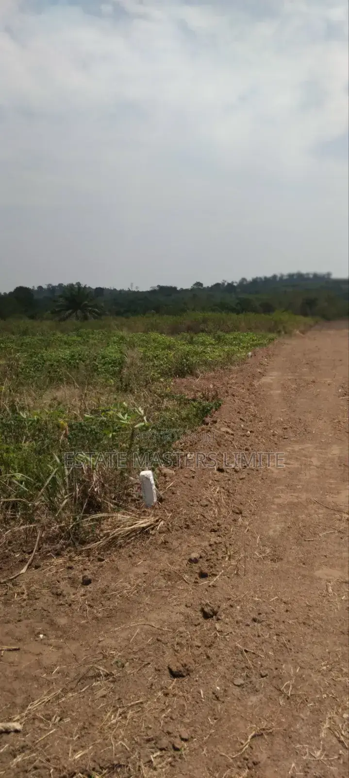 Flat Land Available at Panfokrom for Sale