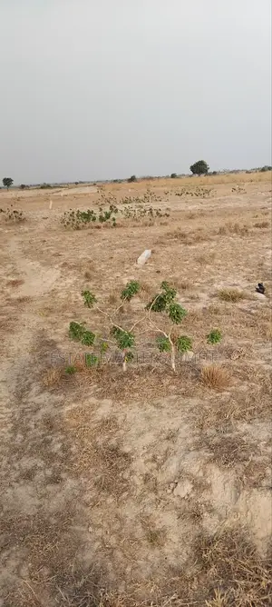 Tsopoli Your Prime Location Buy Affordable Plot of Land