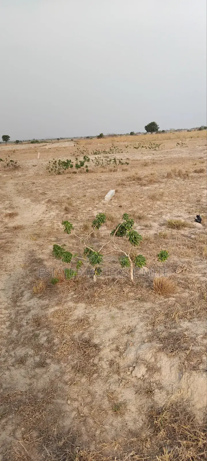 Tsopoli Your Prime Location Buy Affordable Plot of Land