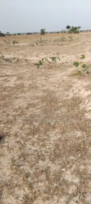 Tsopoli Your Prime Location Buy Affordable Plot of Land
