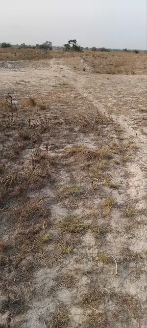 Let Tsopoli Be Your Next Home Buy a Plot of Land Now