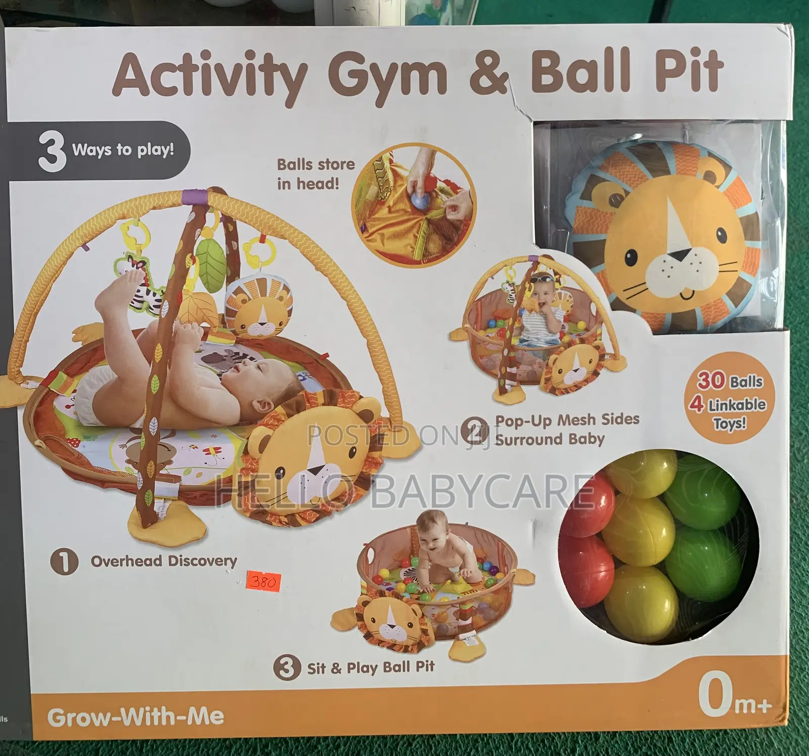 Activity Gym and Ball Pit